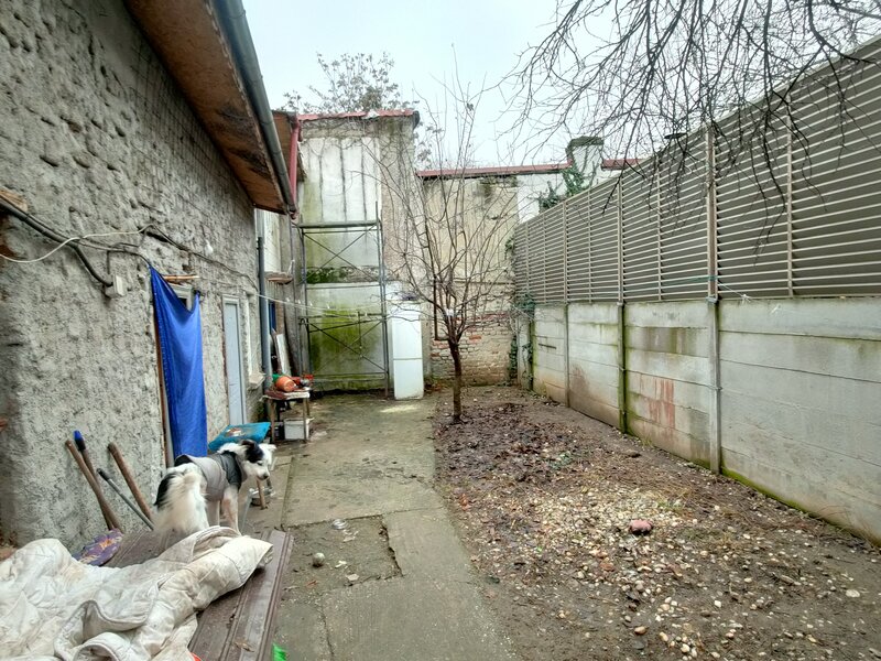 Parcul Circului, Bucuresti.